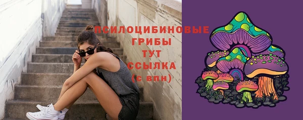 шишки Козельск