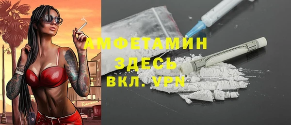 шишки Козельск