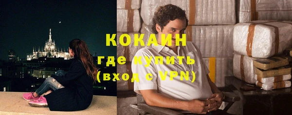 шишки Козельск