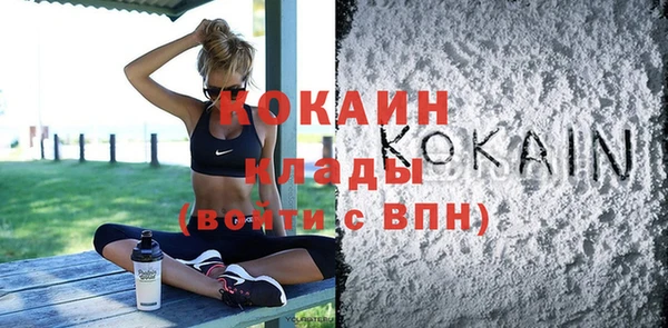 шишки Козельск