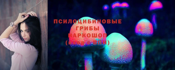 шишки Козельск