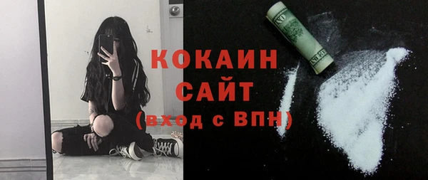 мдпв Кодинск