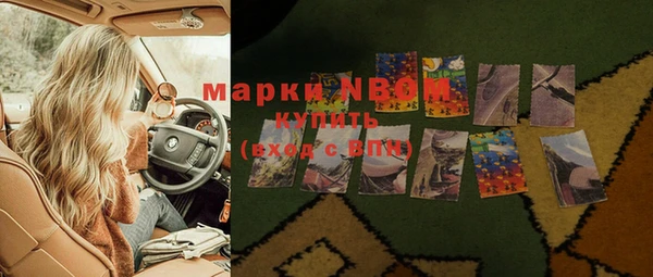 шишки Козельск