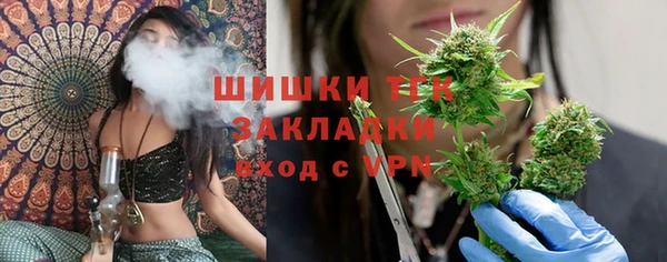 мдпв Кодинск