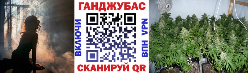 Купить Заволжск Бошки марихуана ГИДРОПОН